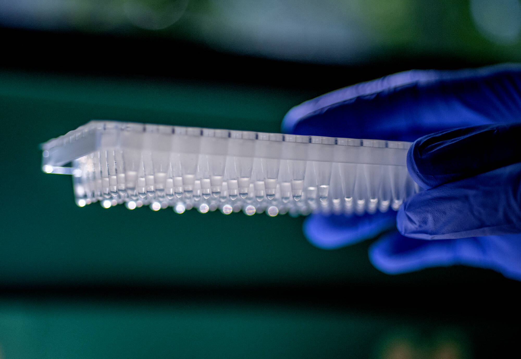 Student looks at droplet generation.